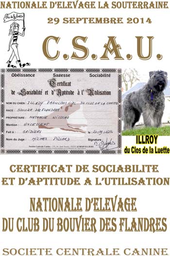 ILLROY du Clos de la Luette © Elevage du Clos de la Luette Copyright depose